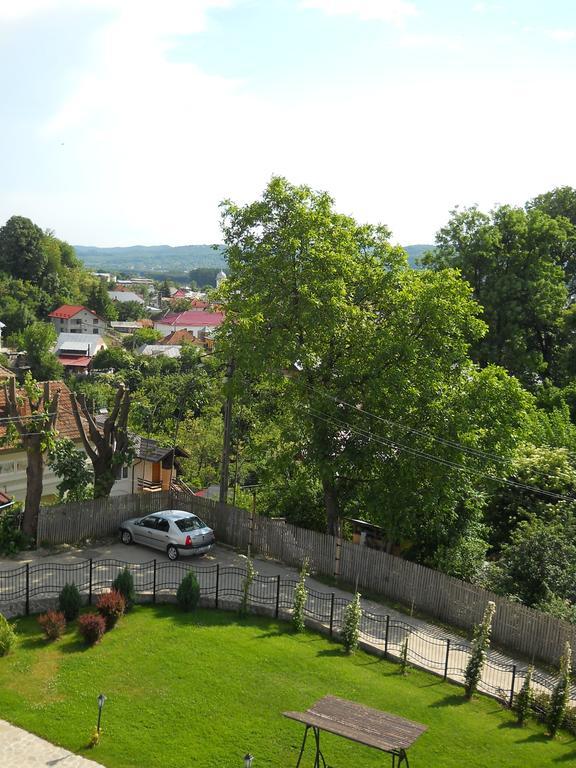 多米斯卡酒店 Curtea de Argeş 外观 照片